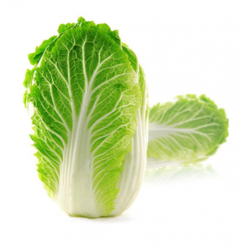大白菜